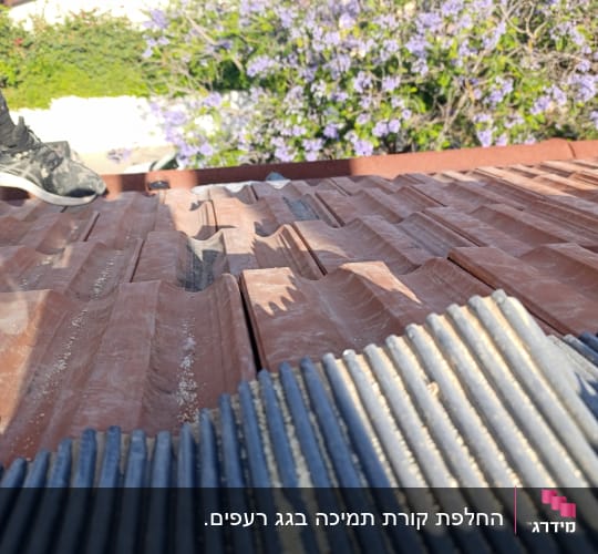 רעפים אדומים וכחולים על גג עם נעל ספורט